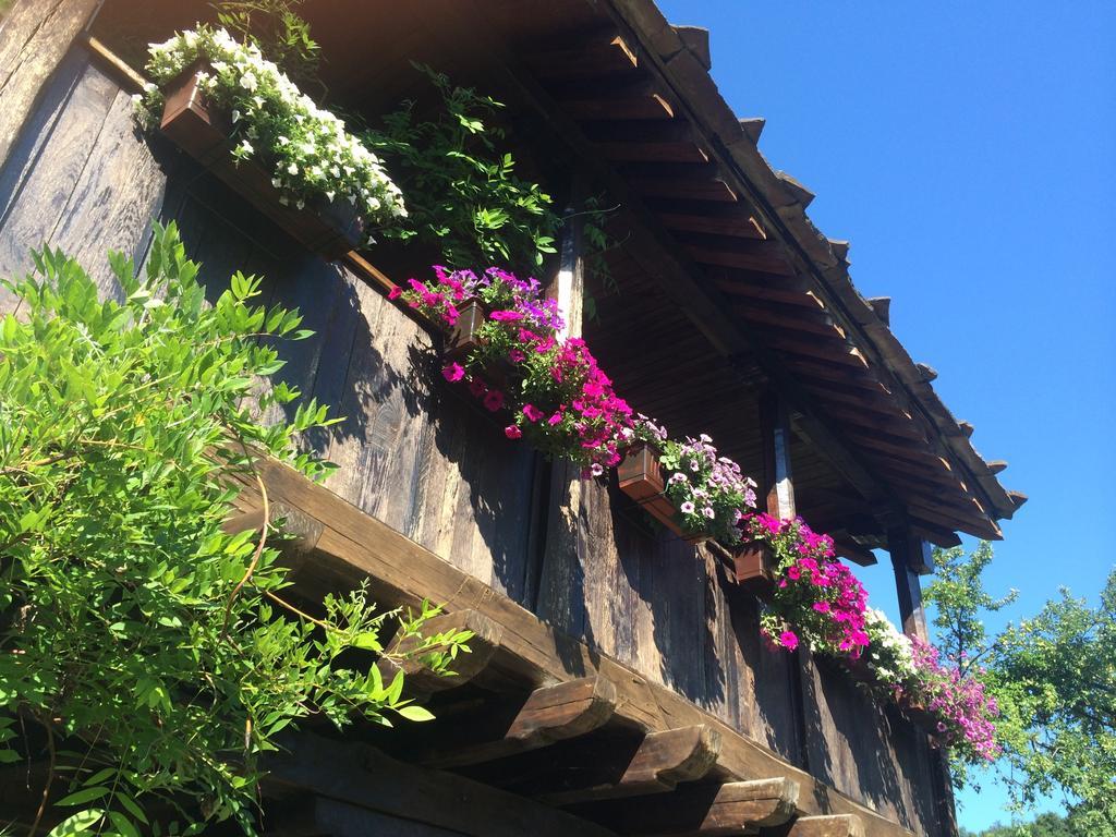Stefanina Guesthouse Bożenci Zewnętrze zdjęcie
