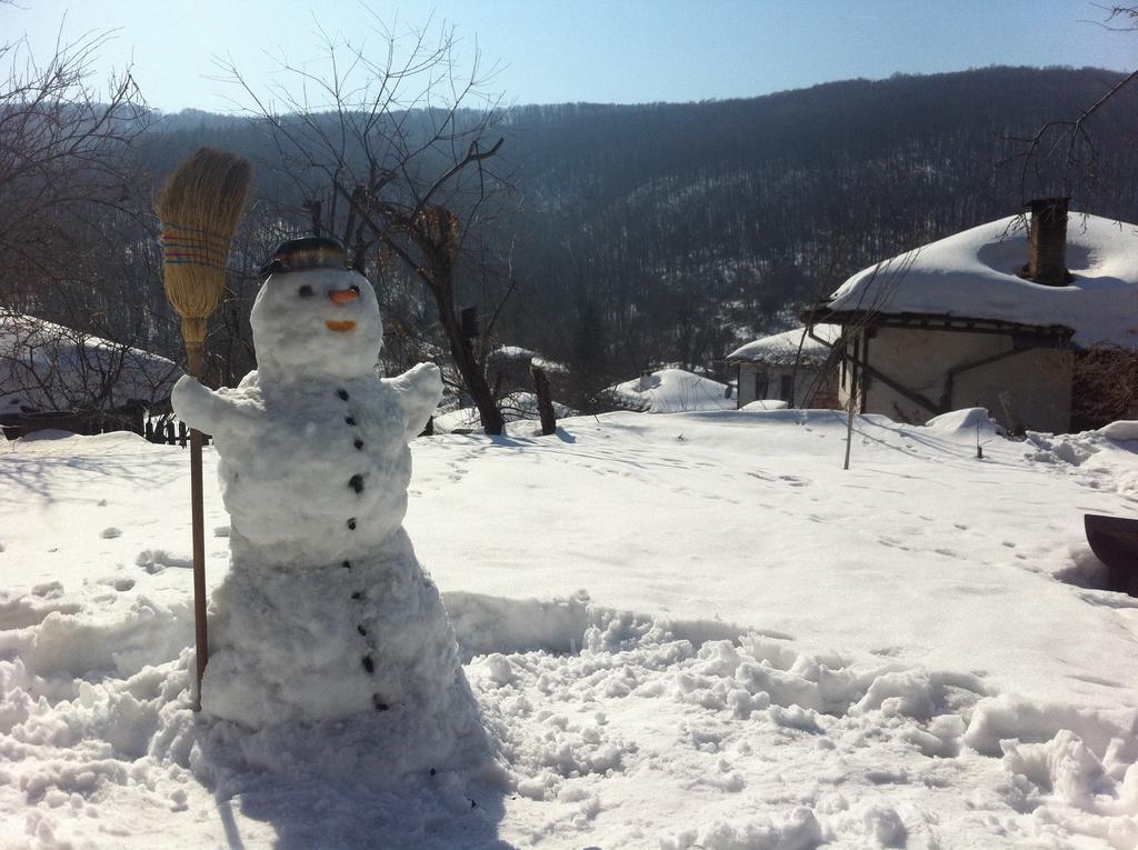 Stefanina Guesthouse Bożenci Zewnętrze zdjęcie