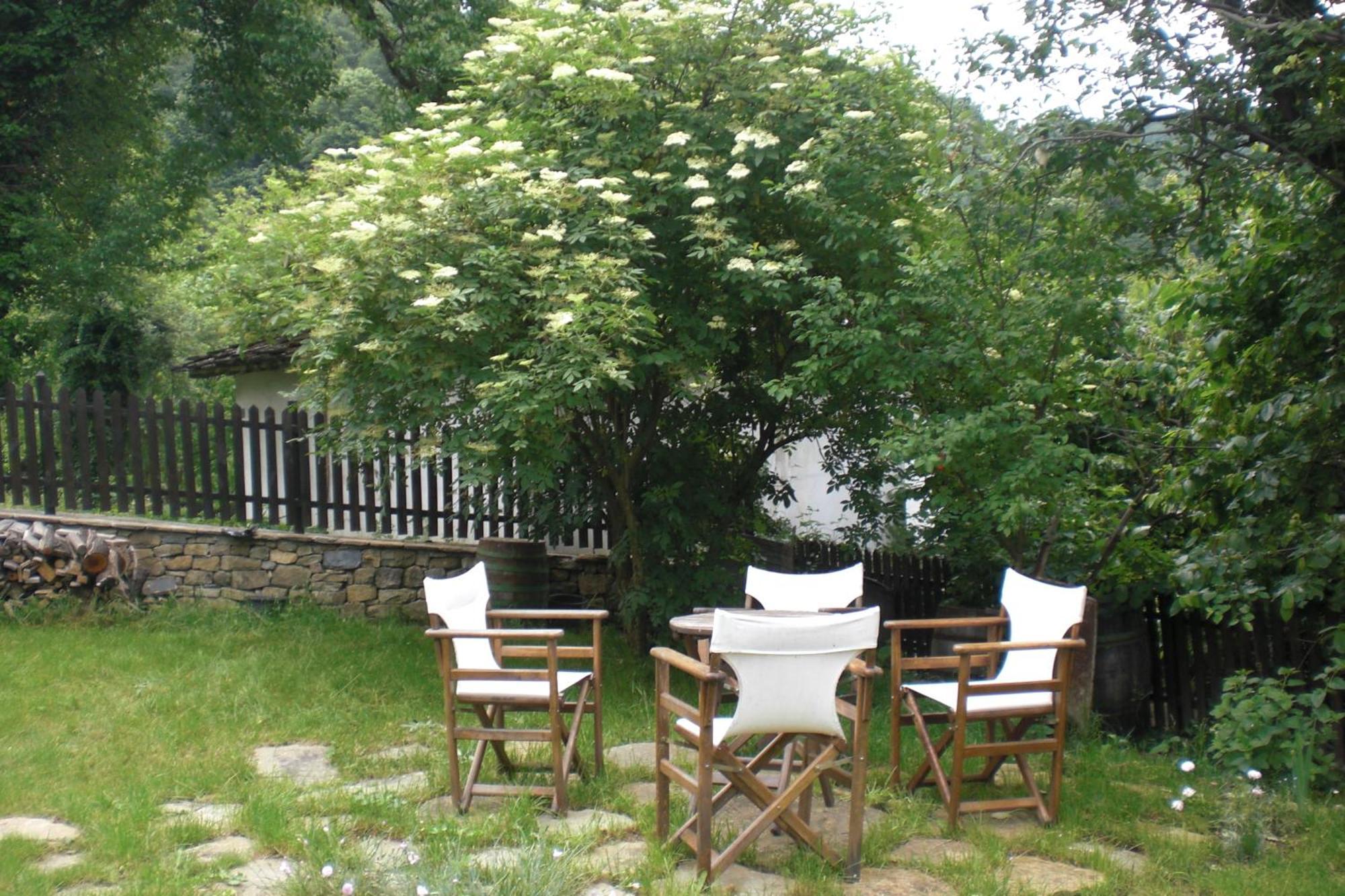 Stefanina Guesthouse Bożenci Zewnętrze zdjęcie