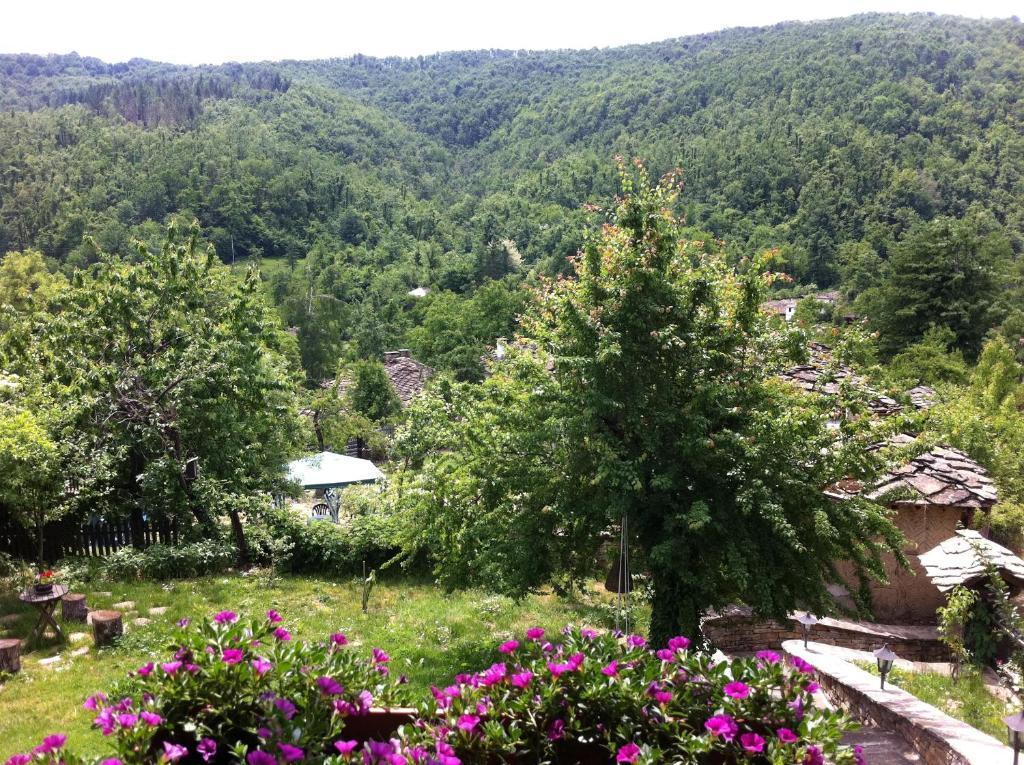 Stefanina Guesthouse Bożenci Zewnętrze zdjęcie
