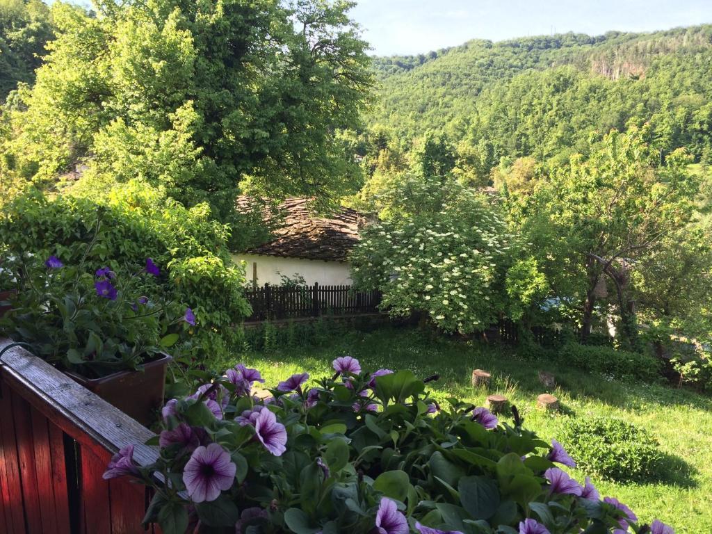 Stefanina Guesthouse Bożenci Zewnętrze zdjęcie